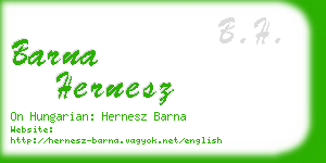 barna hernesz business card